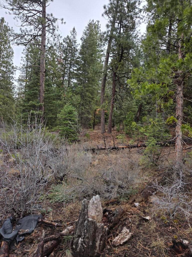 Photo of 0 Yak / Hwy 140 3 of 6