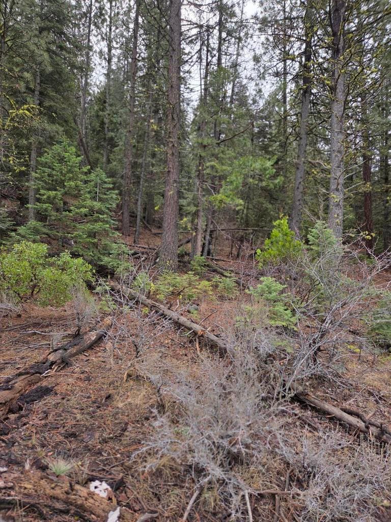 Photo of 0 Yak / Hwy 140 4 of 6