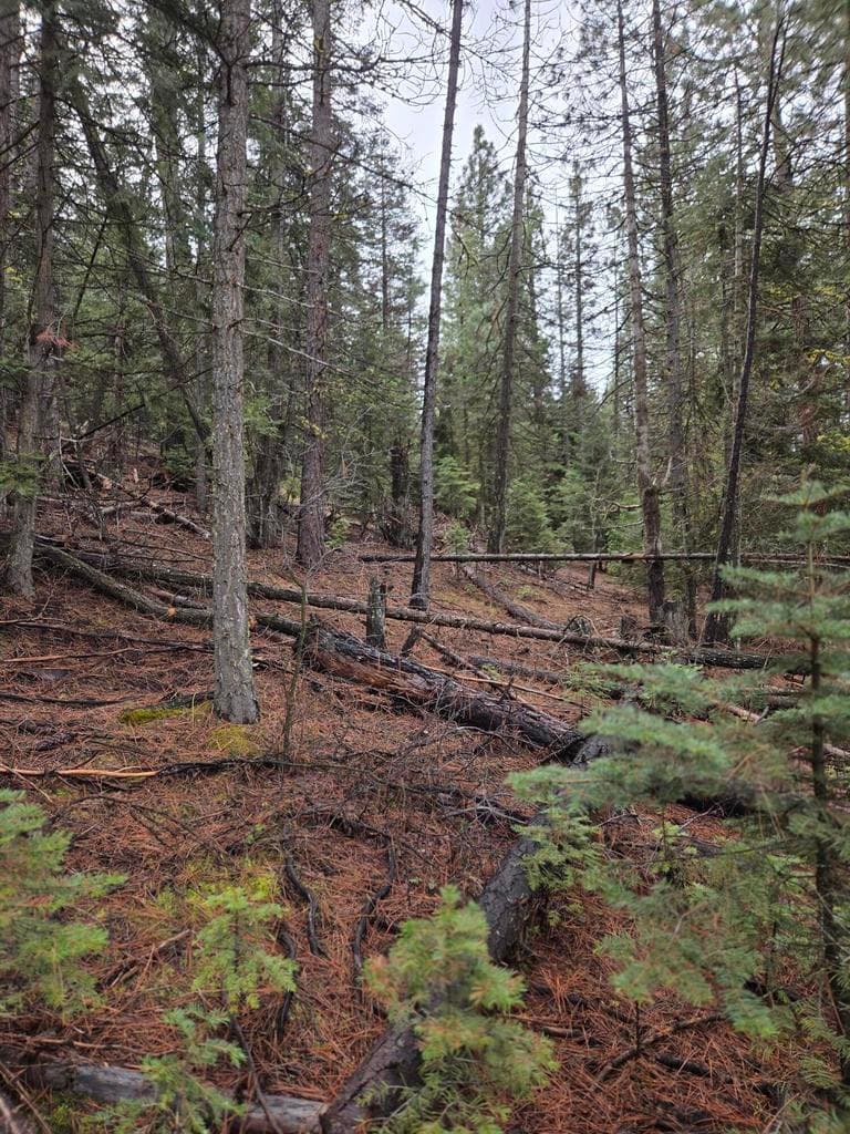Photo of 0 Yak / Hwy 140 5 of 6