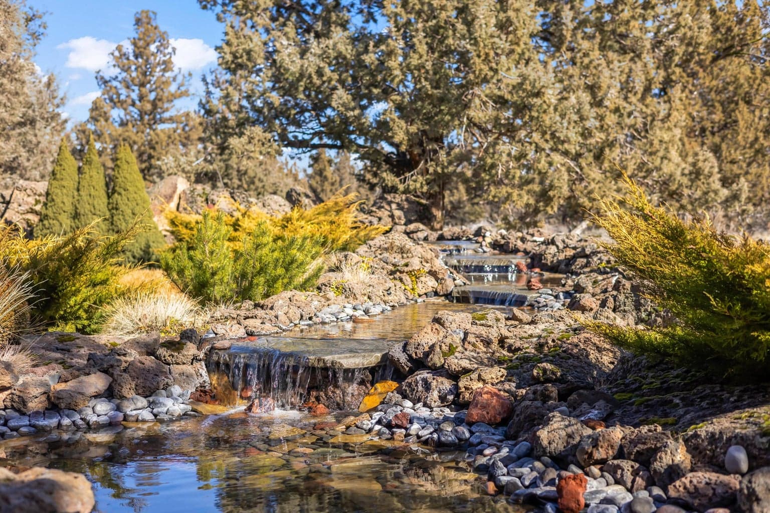 Rear yard water feature