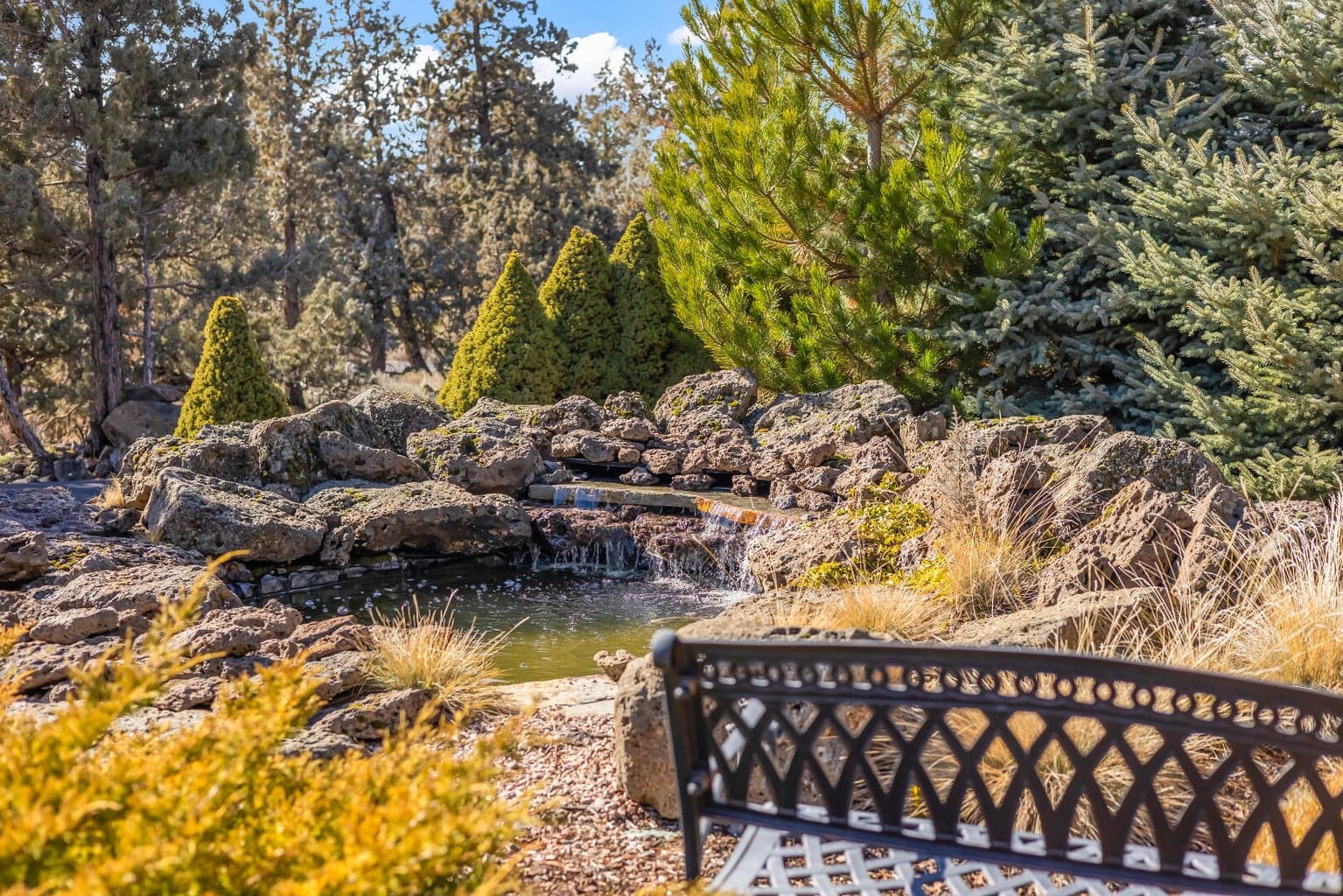 Front yard water feature