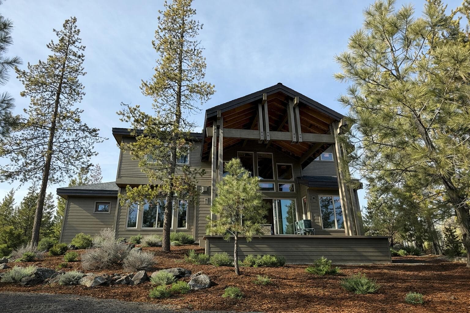 Photo of 57624 Red Alder 3 of 10