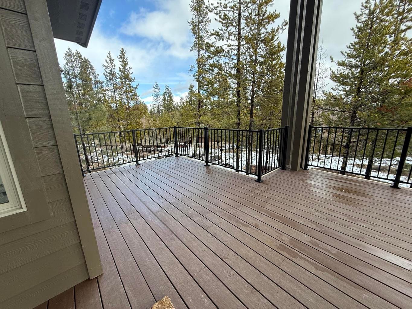 Photo of 57624 Red Alder 5 of 10