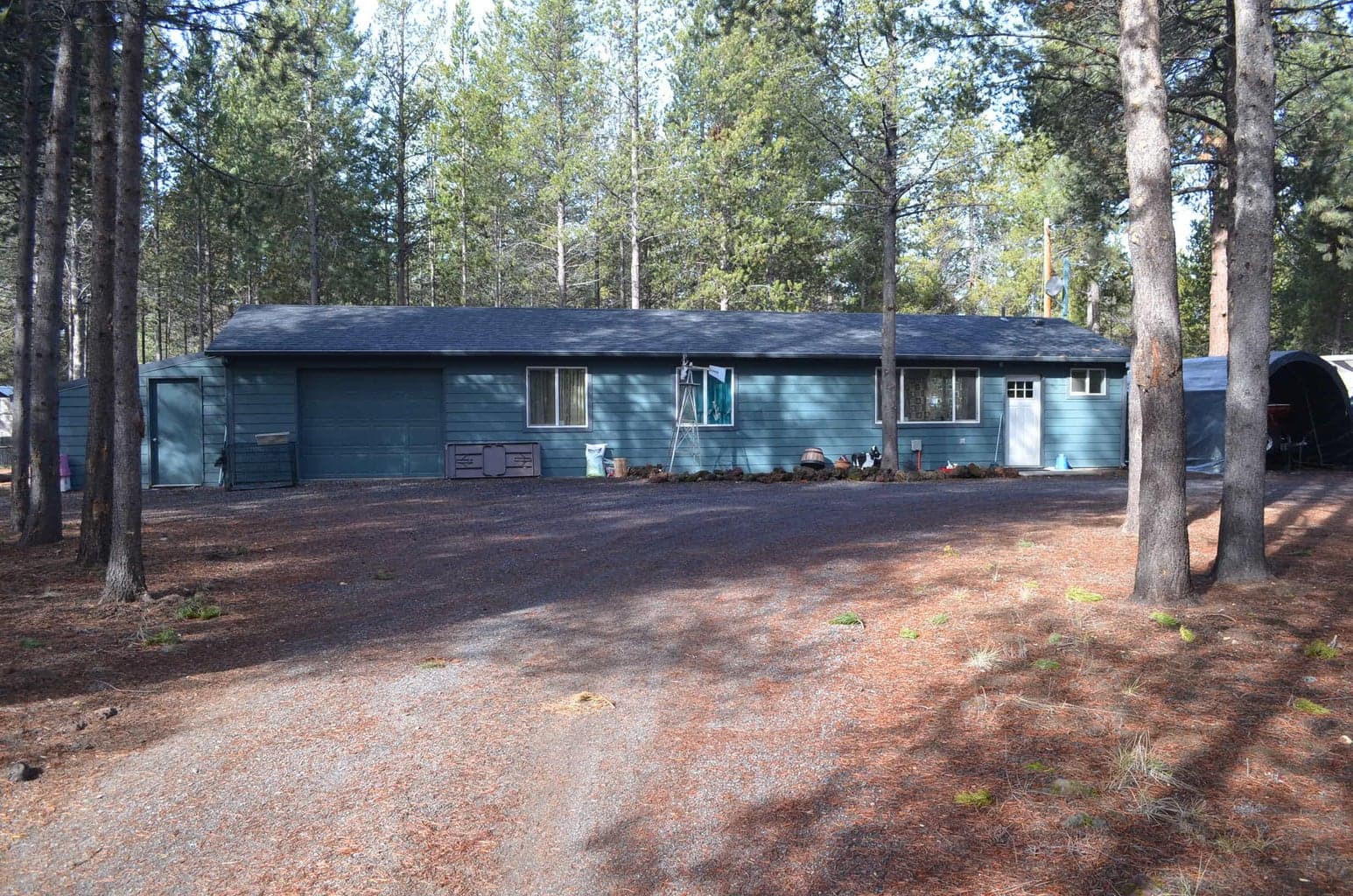 53425 Kokanee
