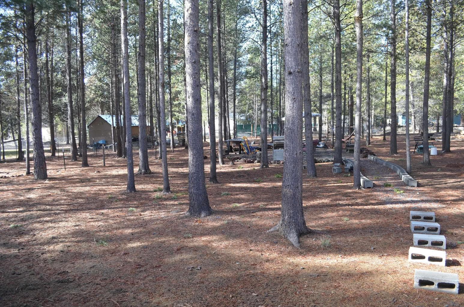 Photo of 53425 Kokanee Lane 21 of 25
