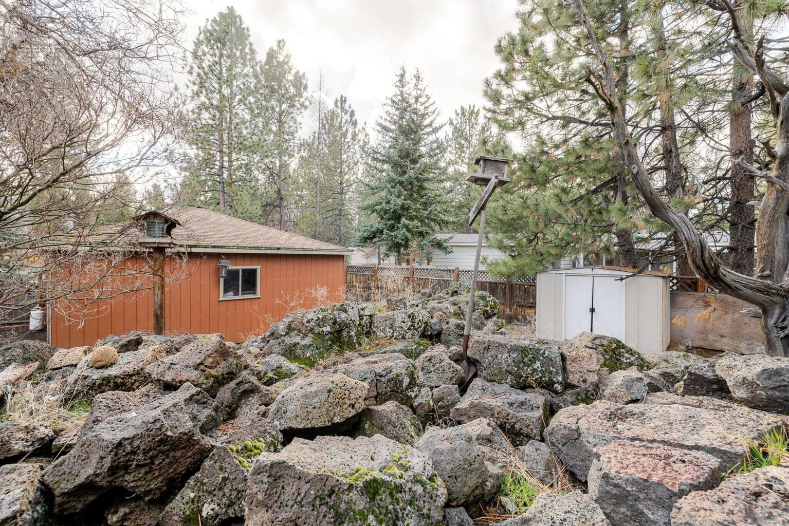 Photo of 60887 Lodgepole 5 of 32