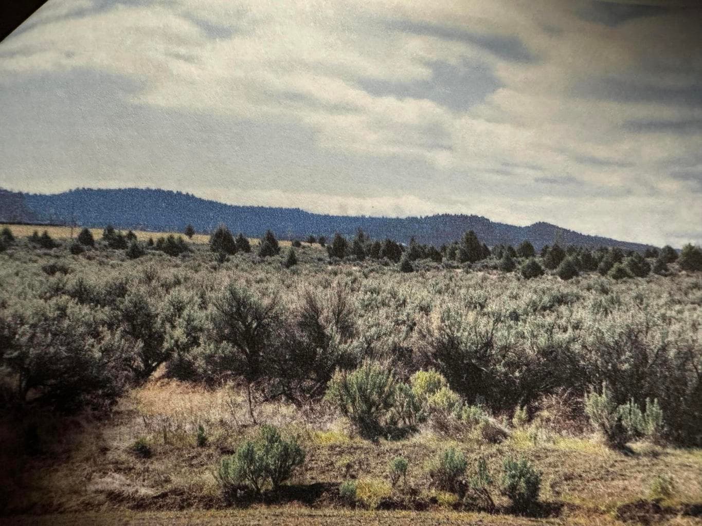 Photo of Off Fossil Lake 5 of 6
