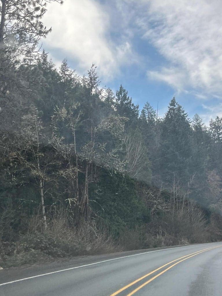 Photo of Rogue River 3 of 8