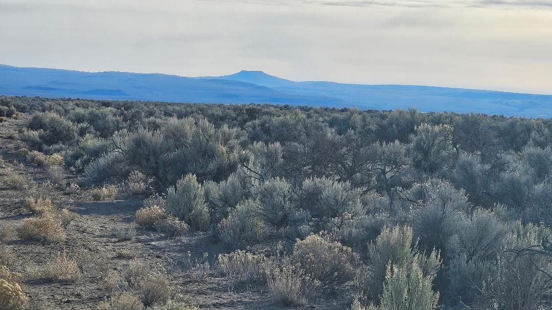 Photo of Off Fossil Lake 4 of 5