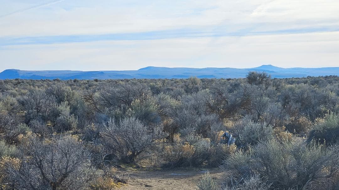 Photo of Off Fossil Lake 5 of 5