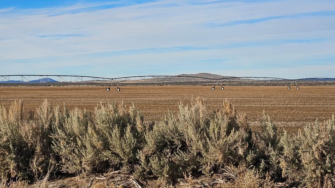 Off Fossil Lake