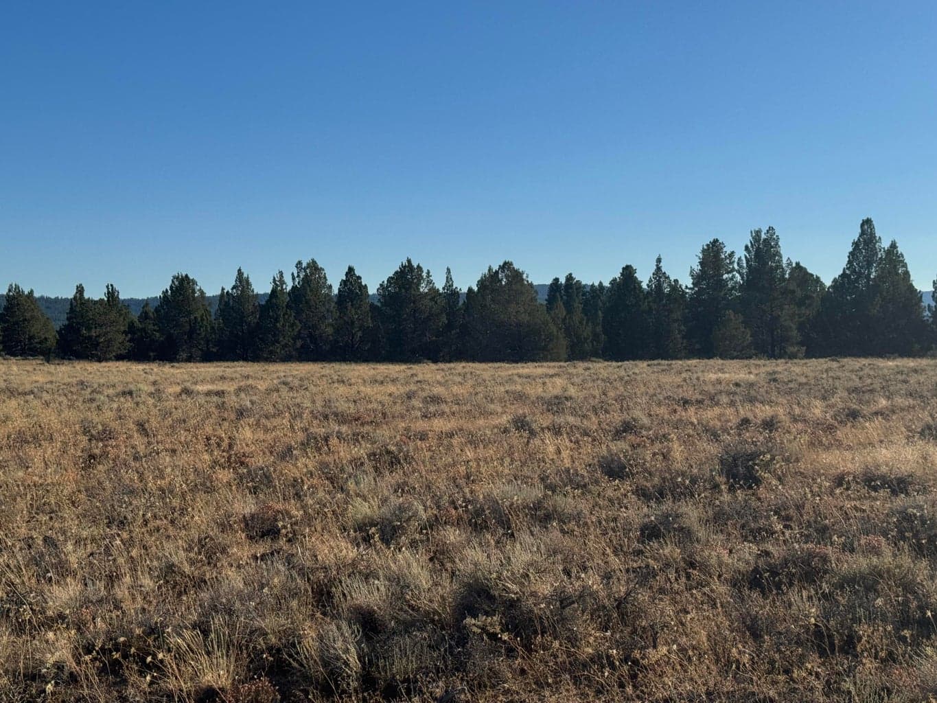 Photo of 0 Rim 5 of 9