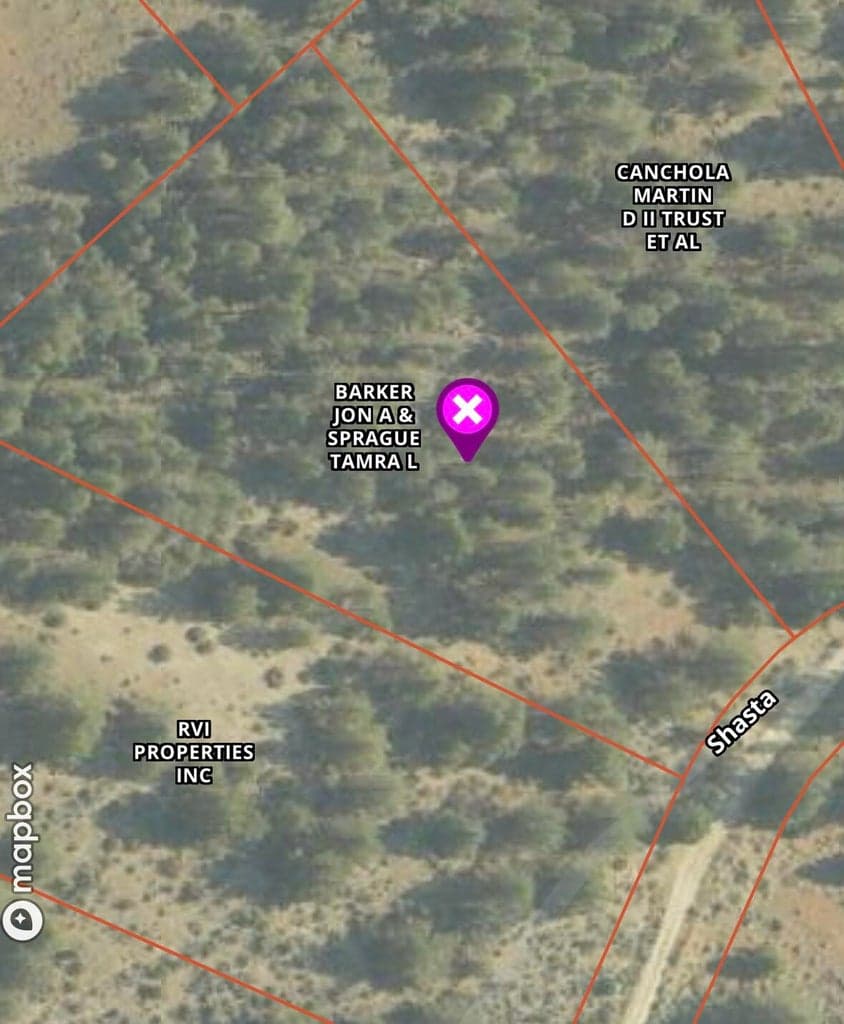 Photo of 0 Shasta 5 of 8