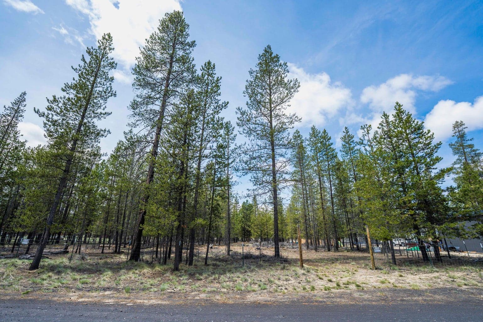 Photo of Lanewood Drive 31 of 50