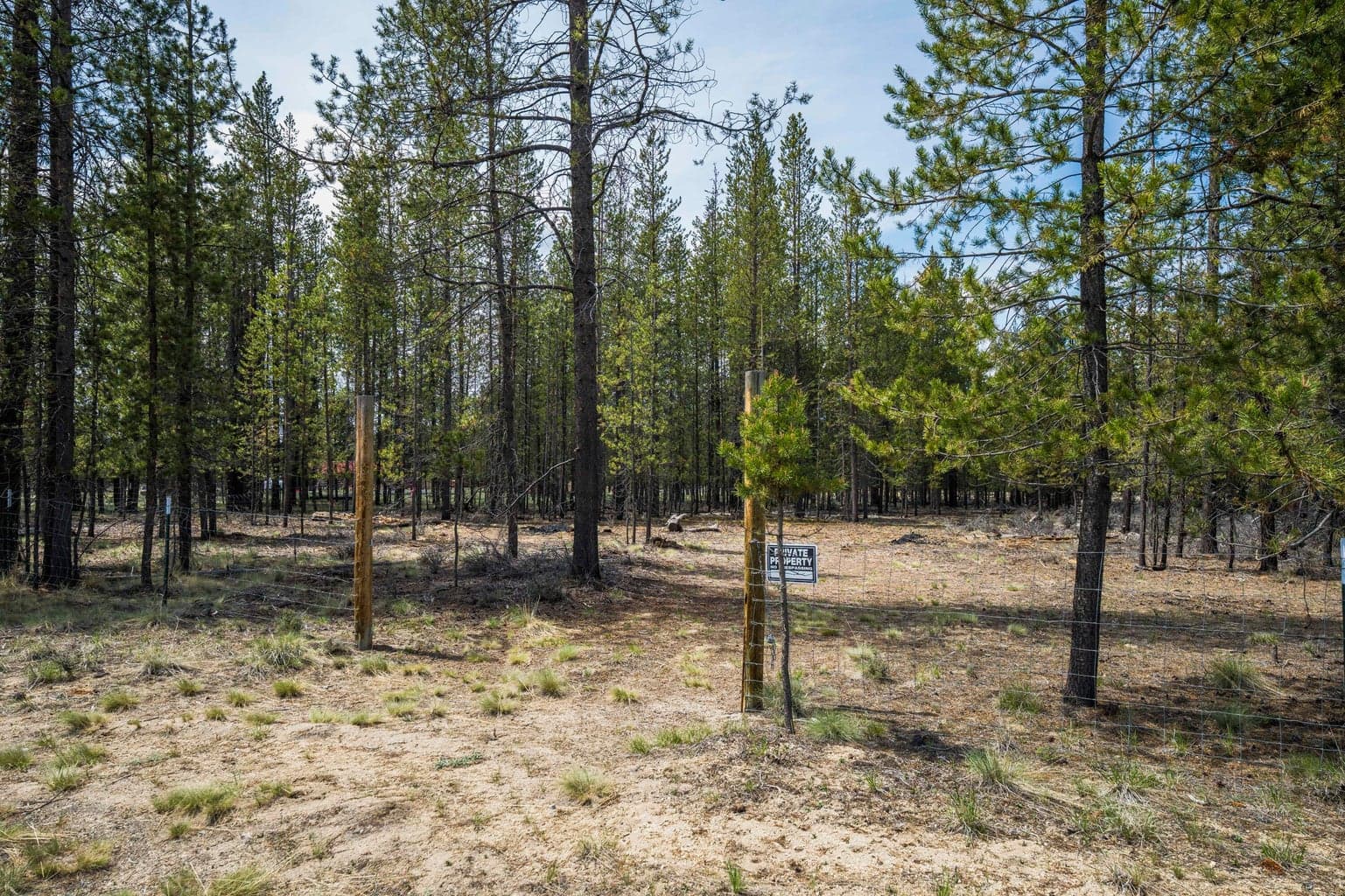 Photo of Lanewood Drive 33 of 50