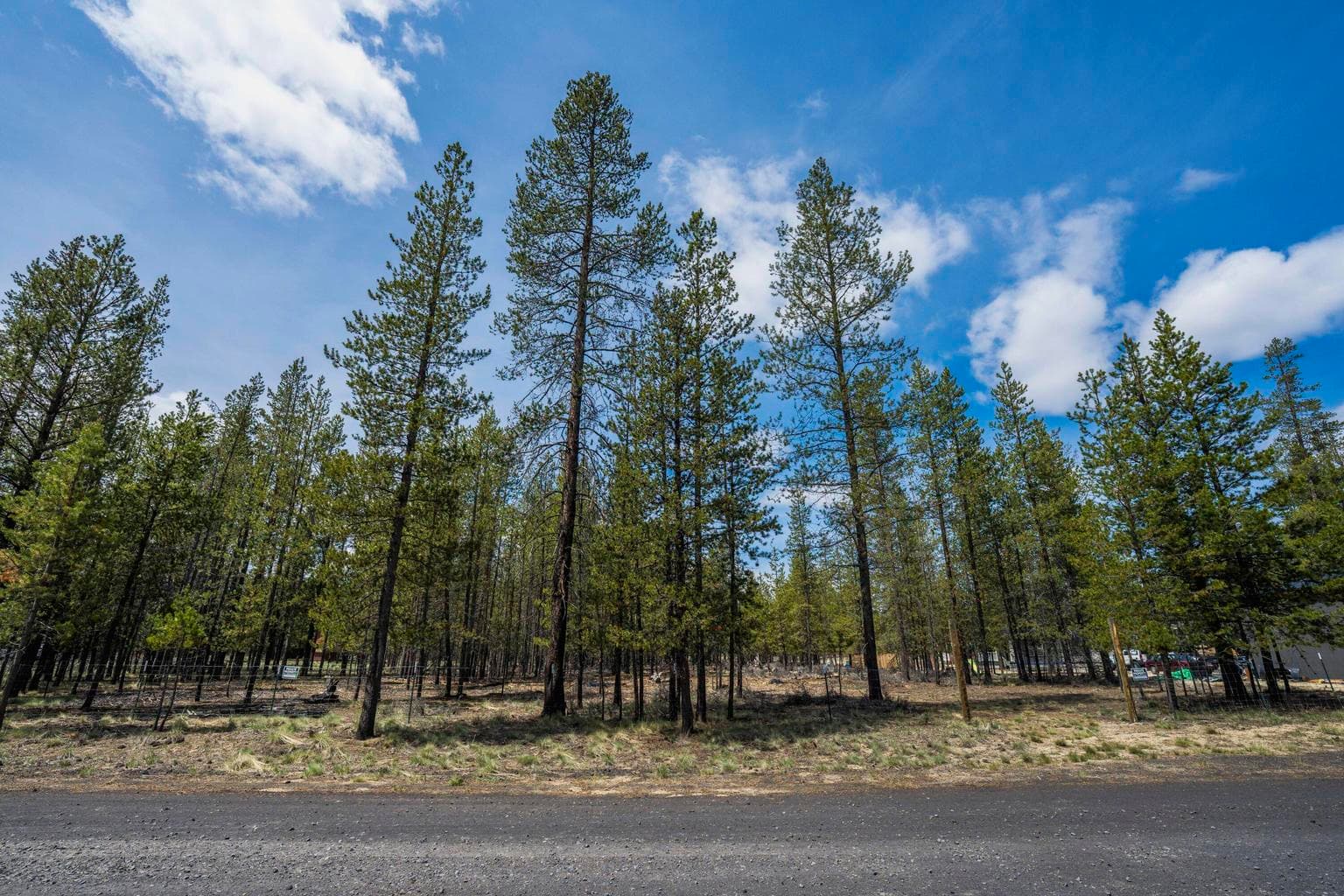 Photo of Lanewood Drive 36 of 50