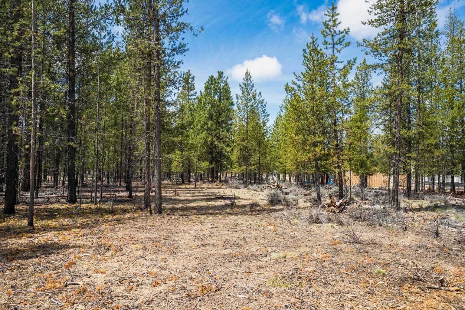 Photo of Lanewood Drive 43 of 50