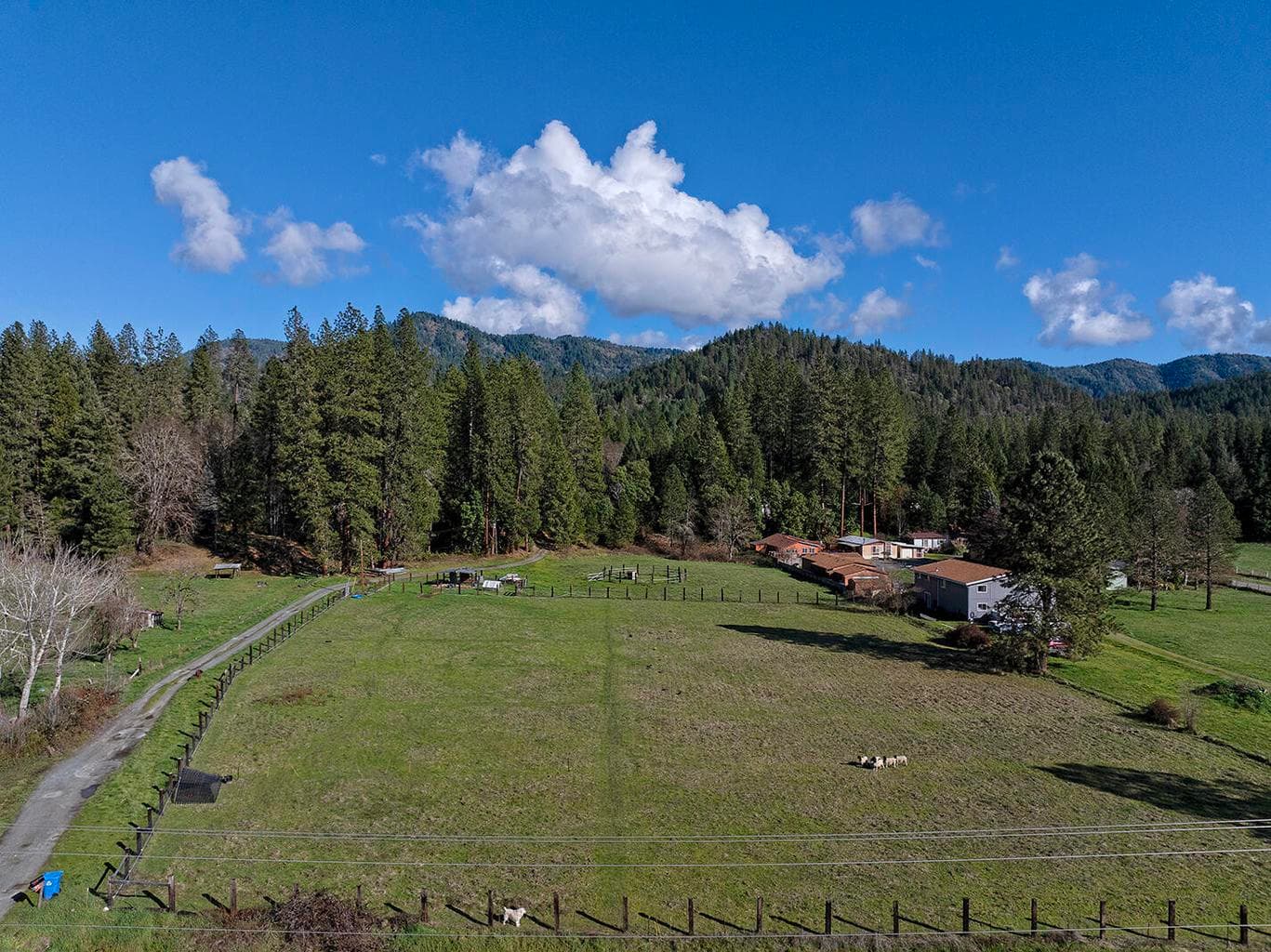 Photo of 6324 Evans Creek 4 of 31