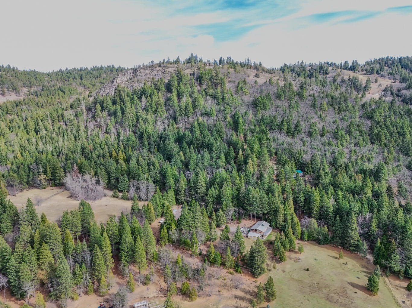 Photo of Tyler Creek 3 of 25