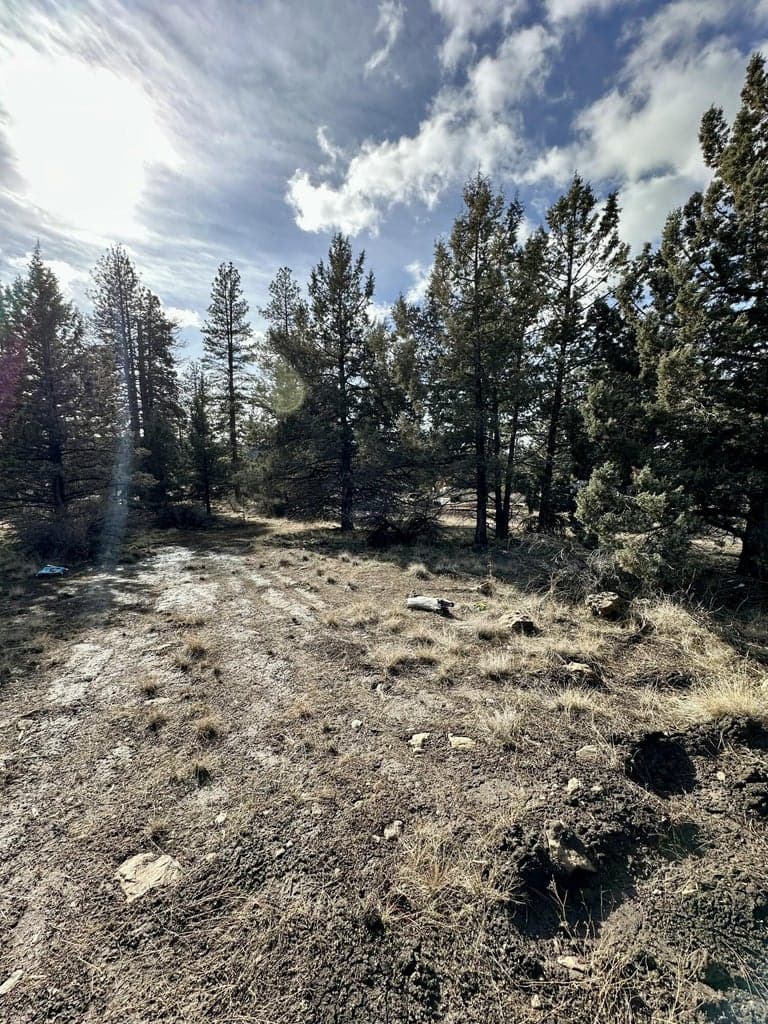 Vacant Lot