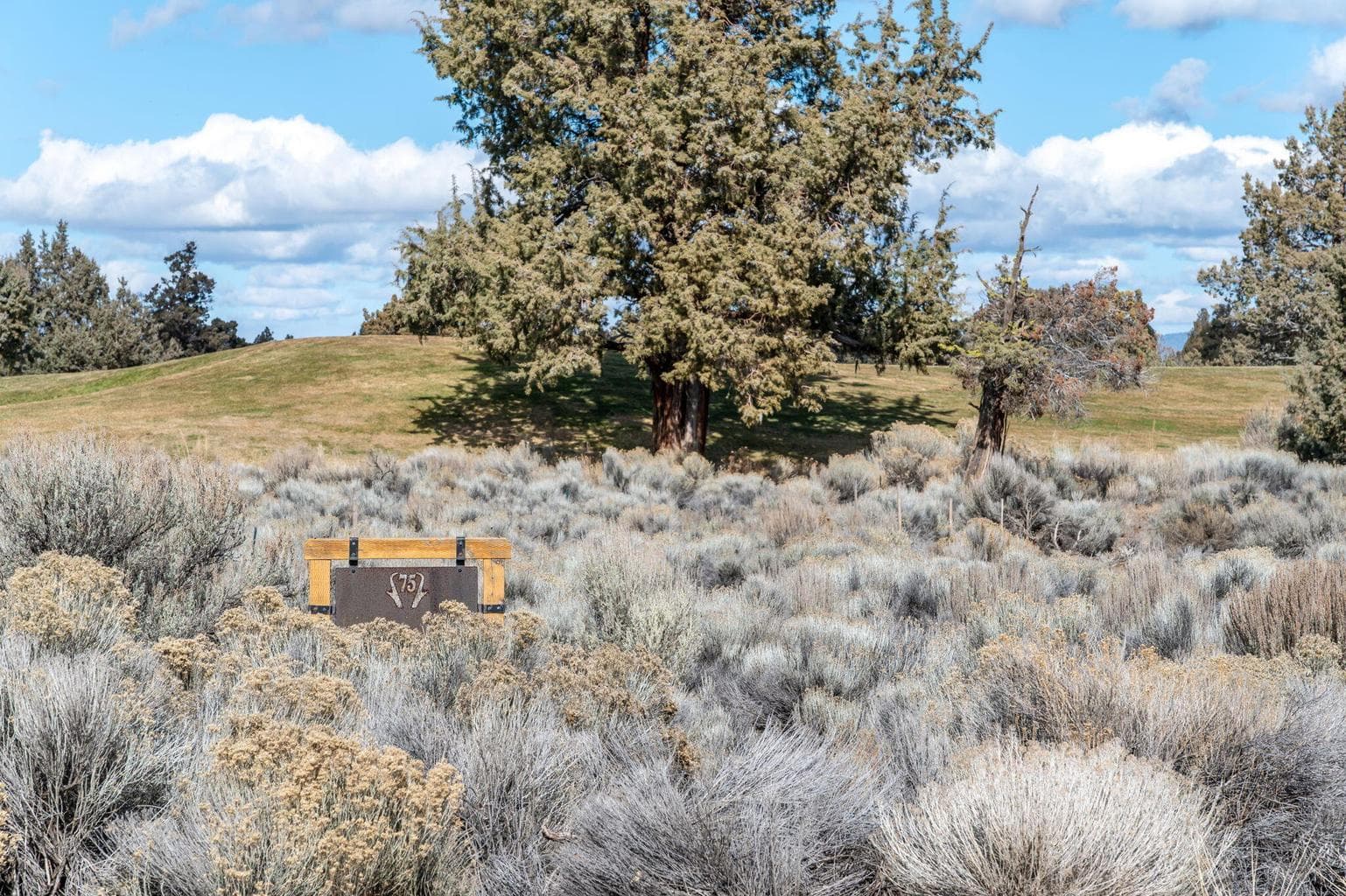 65980 Pronghorn Estates