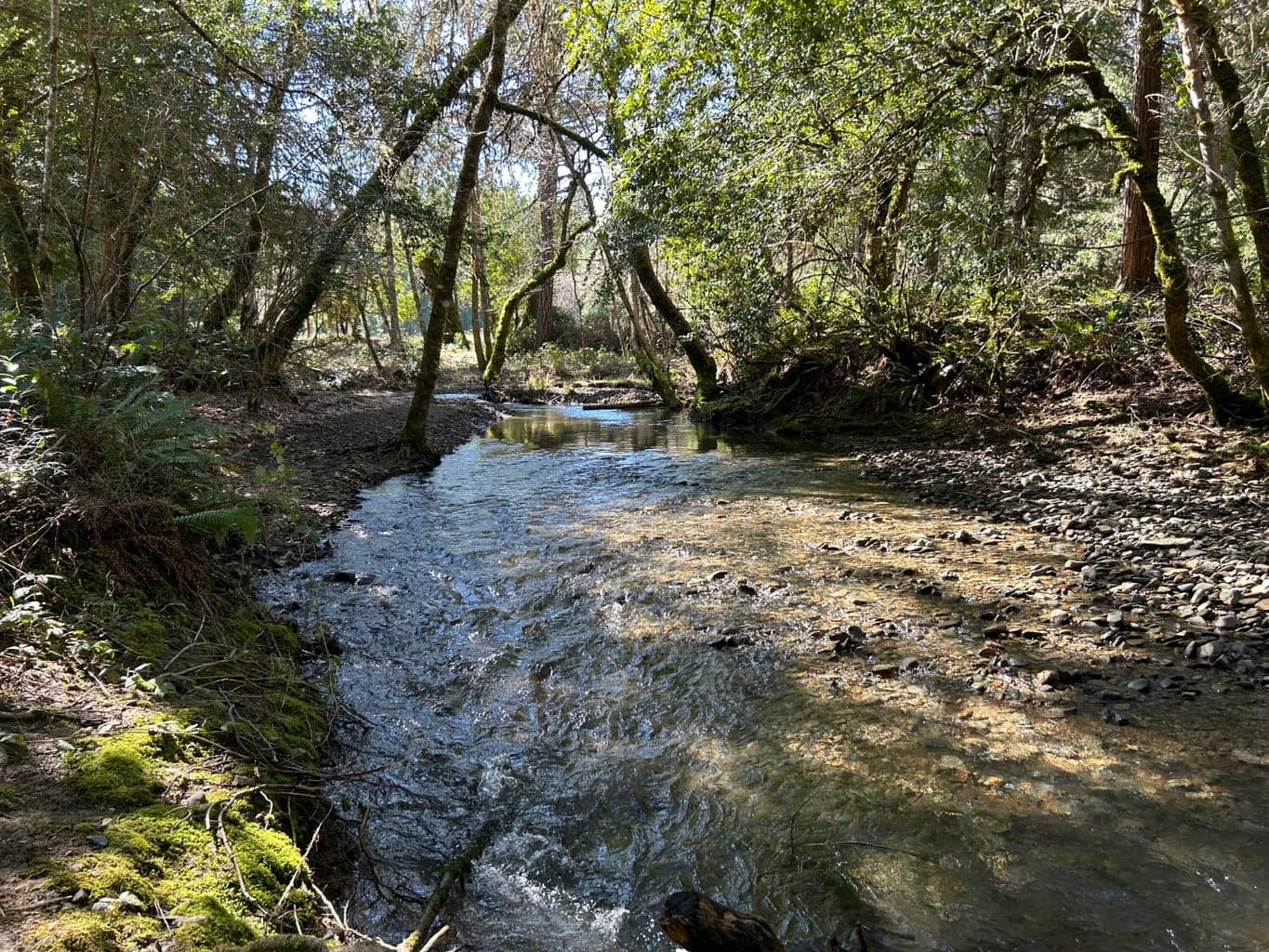 Photo of 260 McMullen Creek 6 of 85