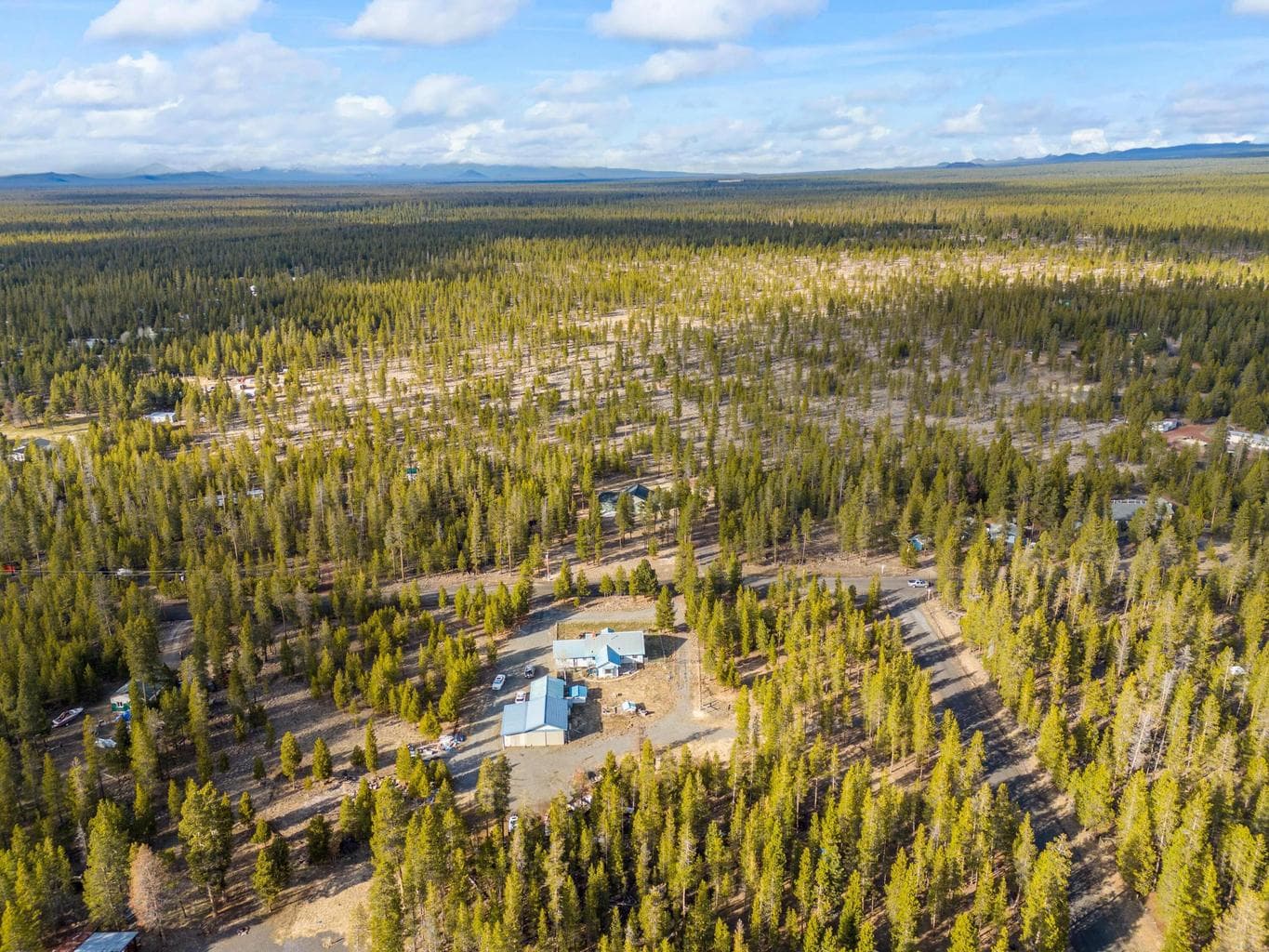 Photo of Sun Forest 4 of 15