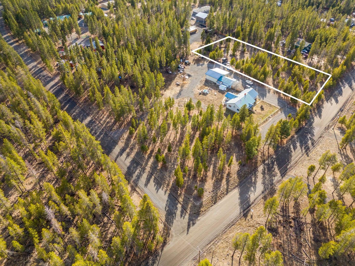 Photo of Sun Forest 5 of 15