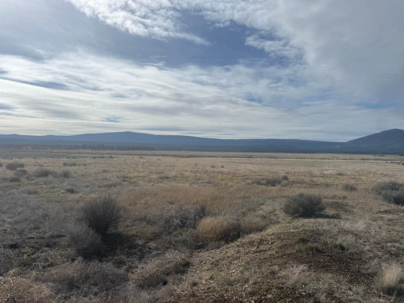 Photo of Sprague River 4 of 7