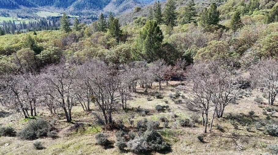 Photo of Applegate 3 of 15