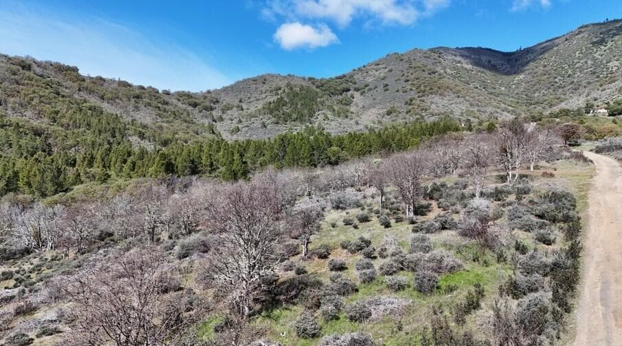 Photo of Applegate 5 of 15
