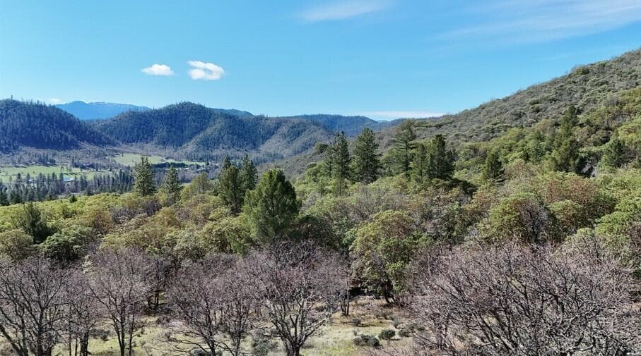 Photo of Applegate 4 of 15