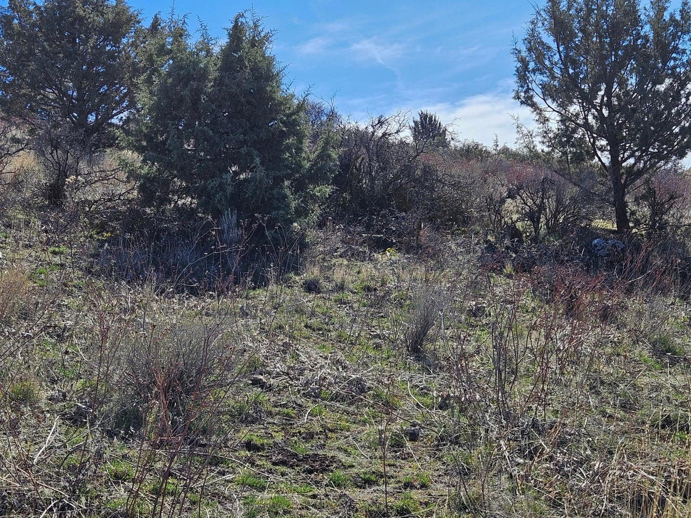 Photo of 0 Hanks Marsh 4 of 15