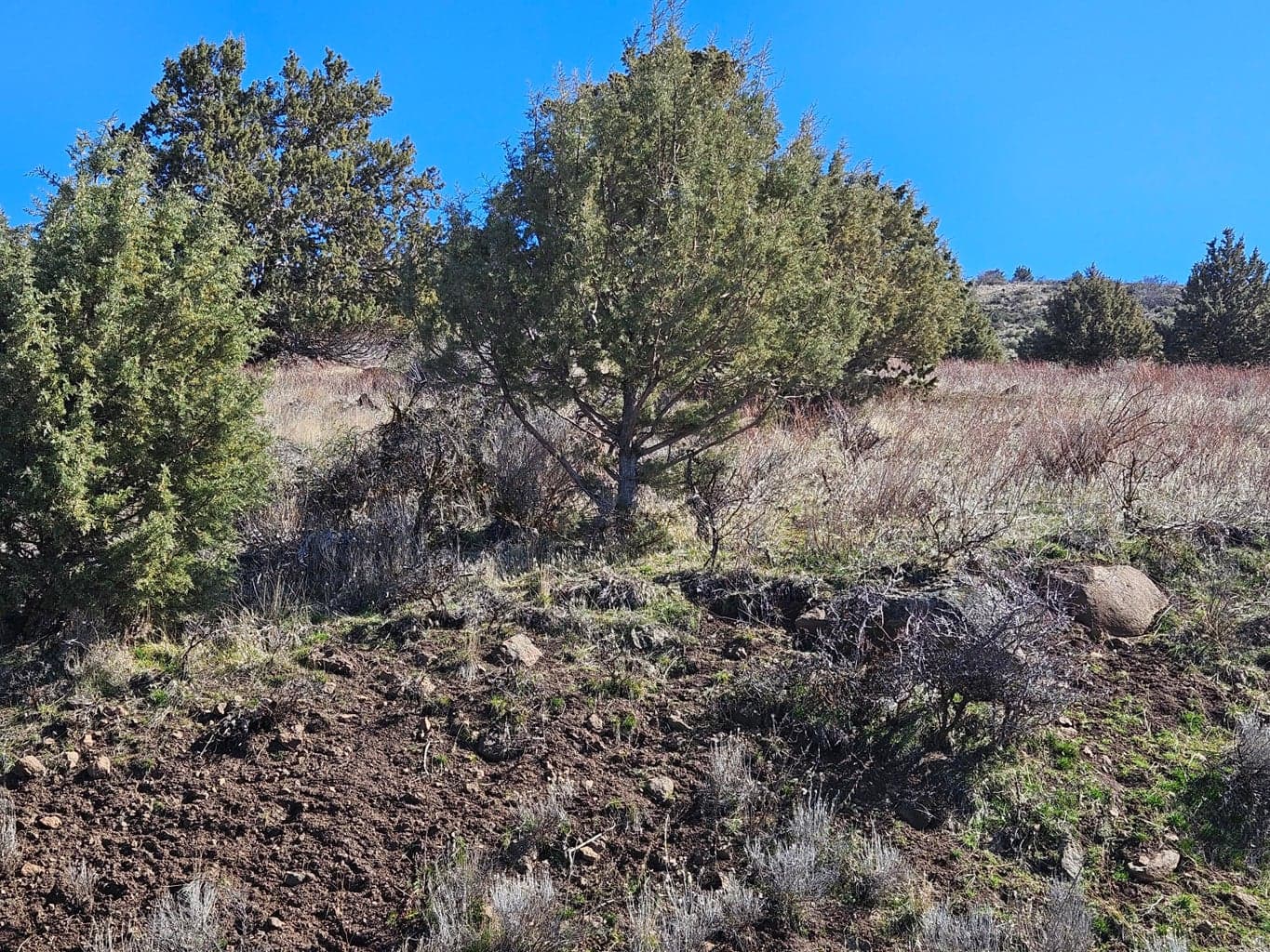 Photo of 0 Hanks Marsh 3 of 15