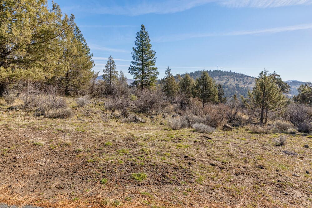 Photo of 957 Bailey Mountain 2 of 17