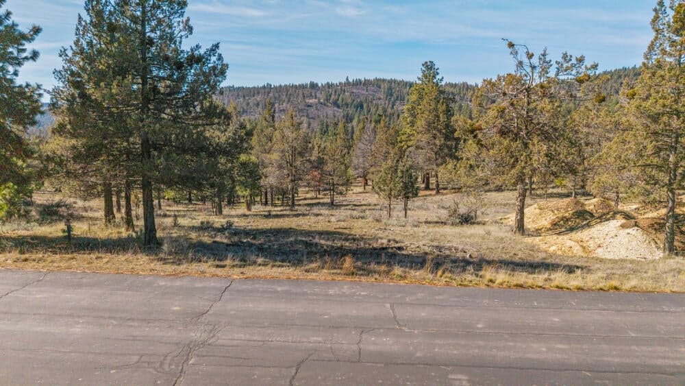 Photo of 5768 Engleman Spruce 4 of 15