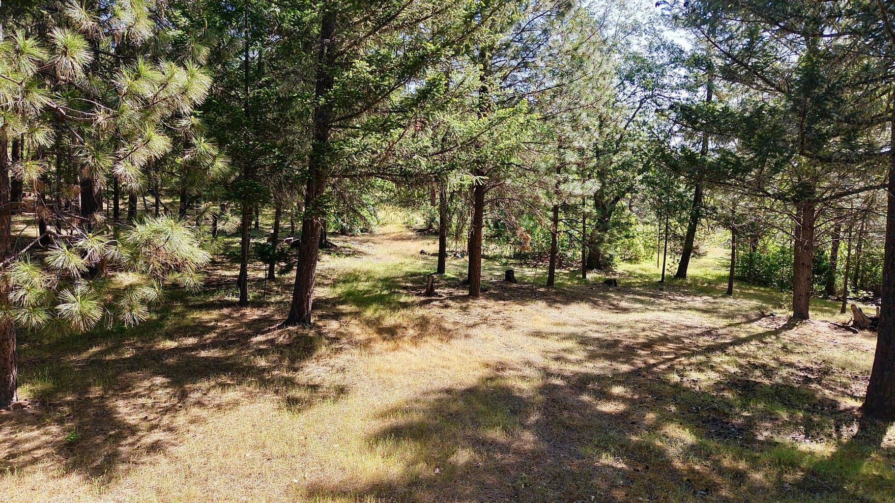 There are roads and trails all throughout the property