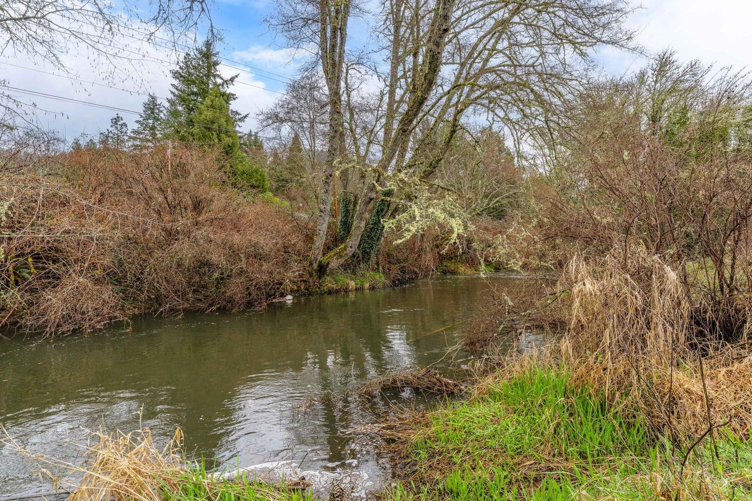 Photo of 0 Upper Cow Creek 3 of 28