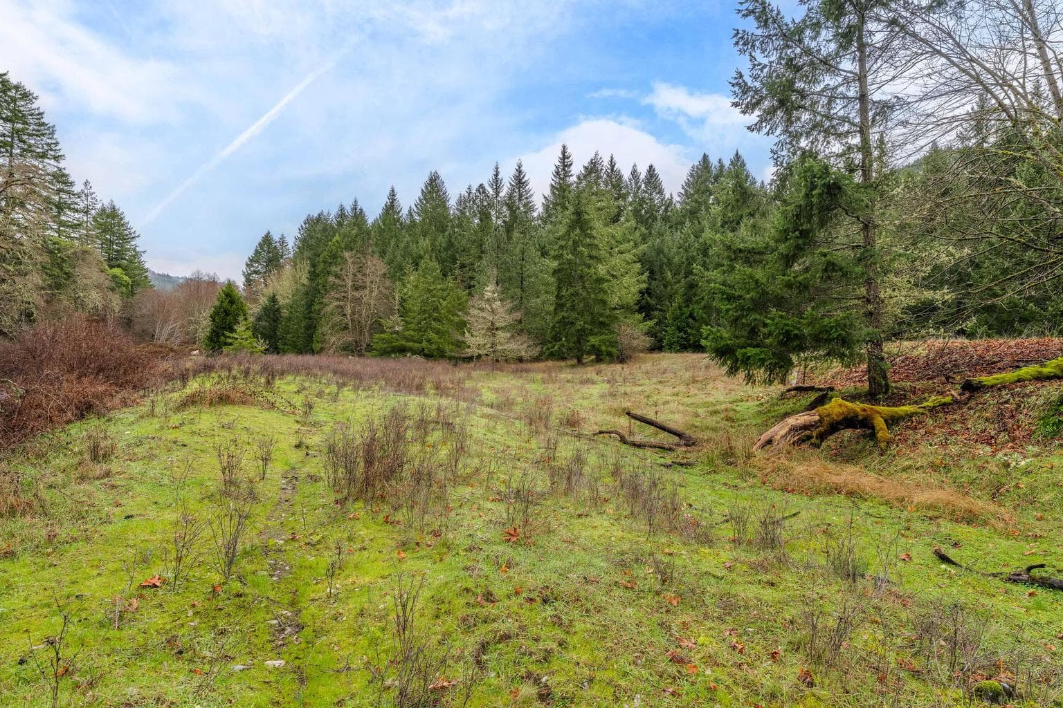 Photo of 0 Upper Cow Creek 4 of 28