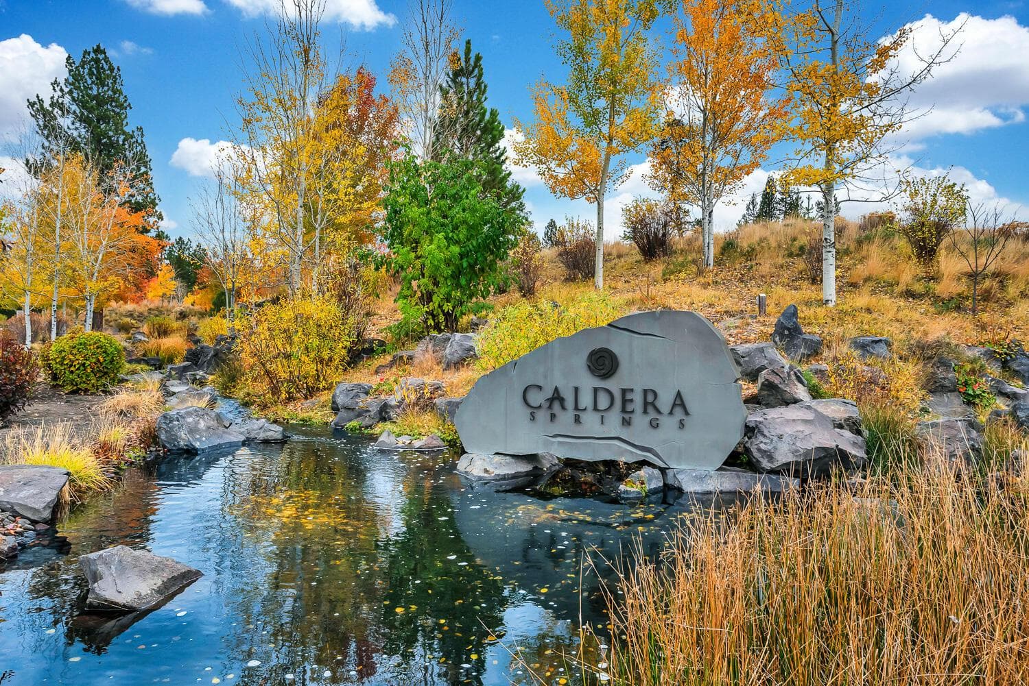 Photo of 17719 Caldera Springs 2 of 45