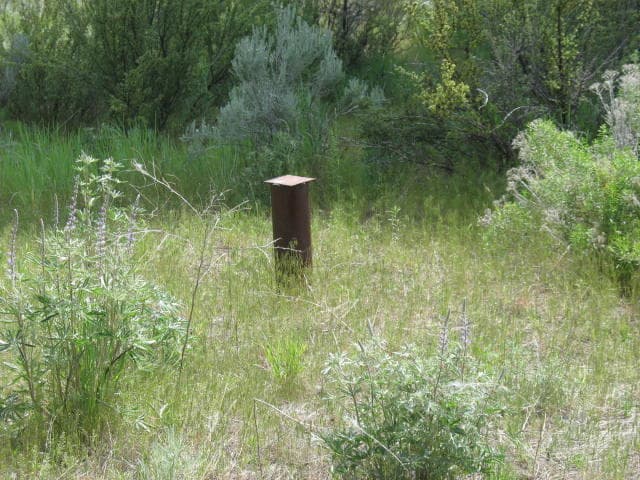 Photo of Irving 3 of 10
