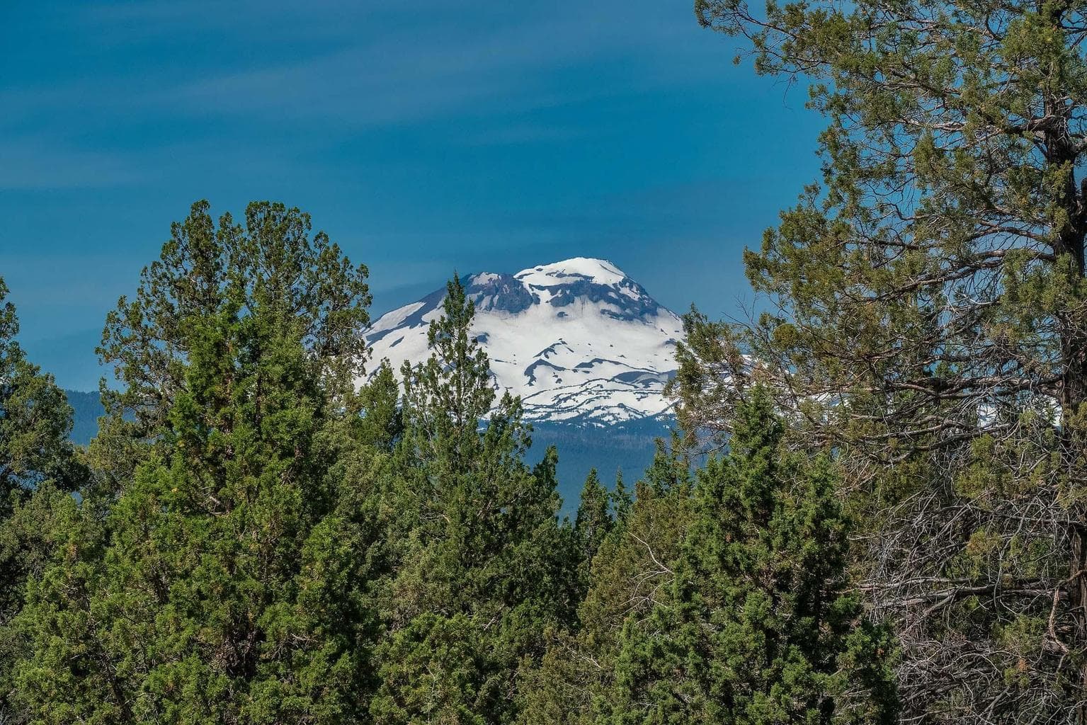 Photo of 17949 Cascade Estates 3 of 14