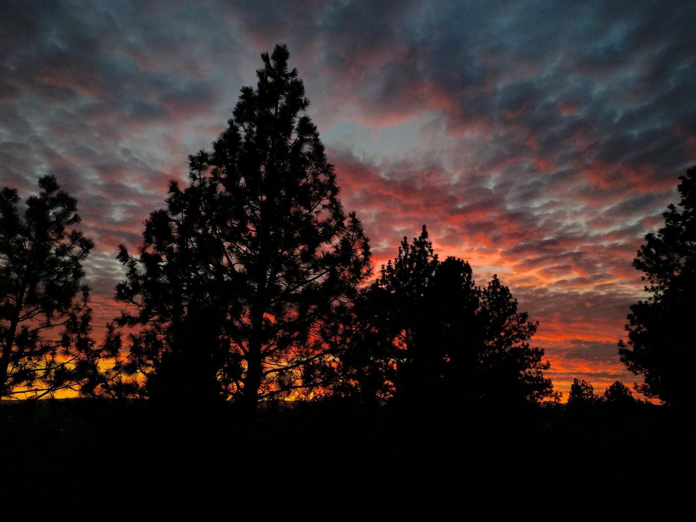 Relax & enjoy the beautiful sunsets from the great room and expansive decks