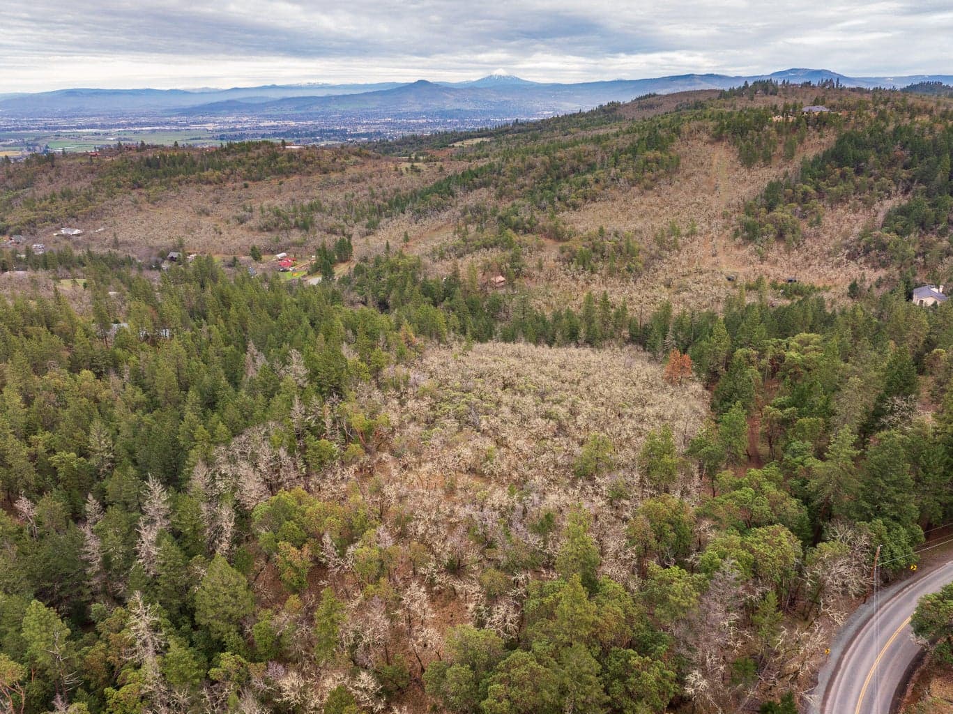 Photo of 0 Sterling Creek 4 of 16
