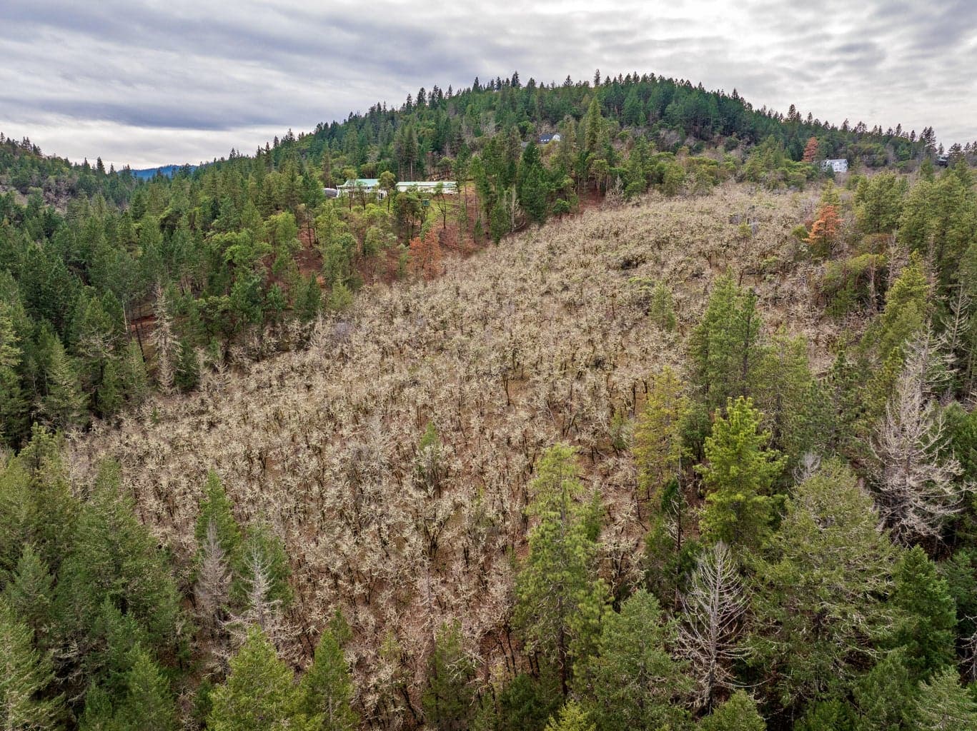 Photo of 0 Sterling Creek 5 of 16