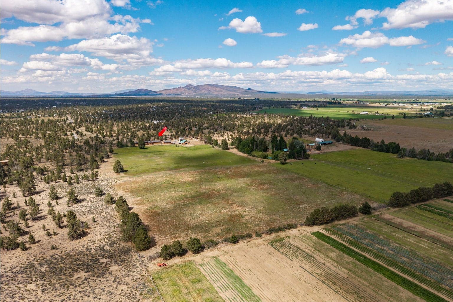 Photo of 25271 Alfalfa Market Road 58 of 78