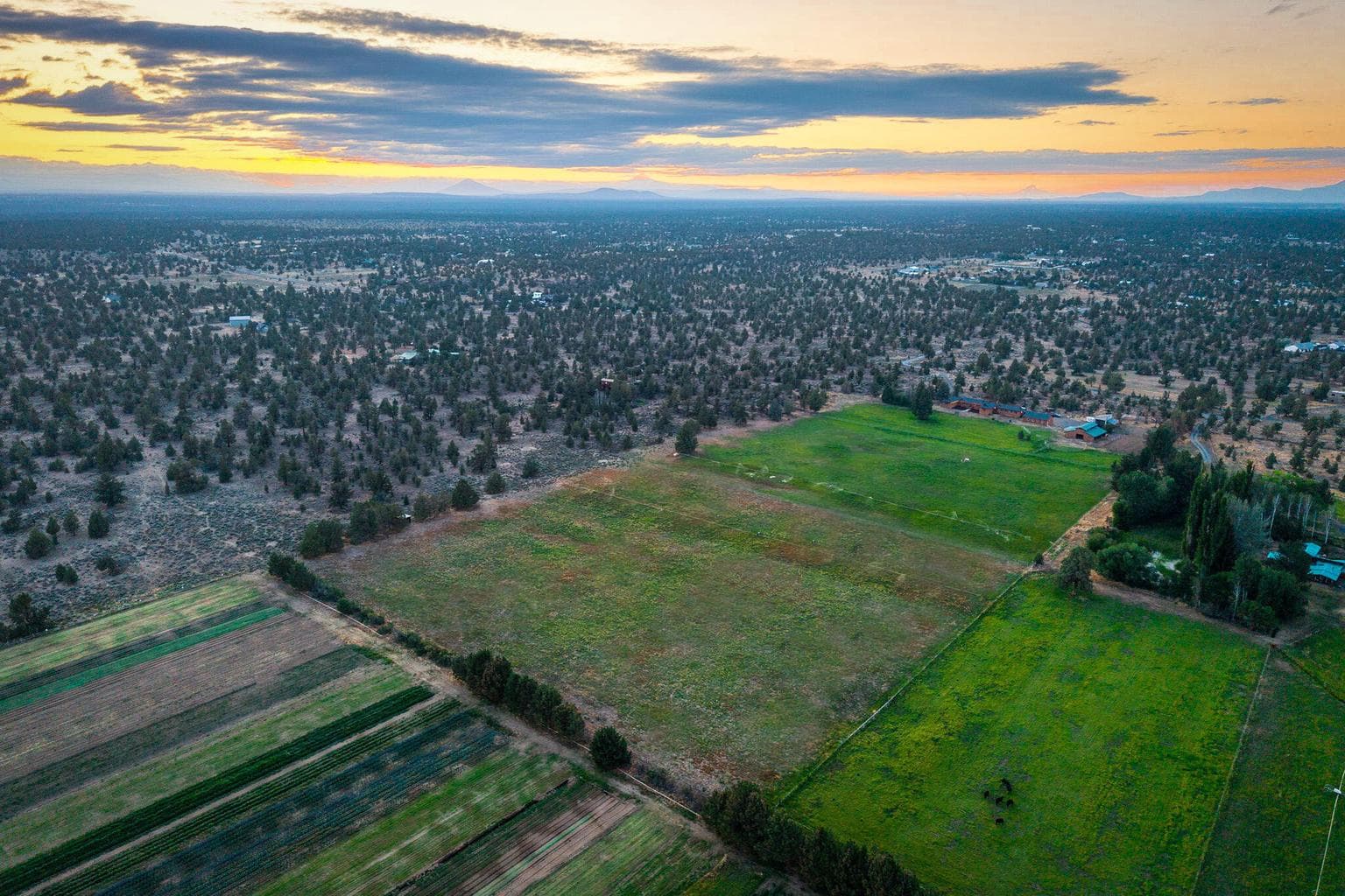 Photo of 25271 Alfalfa Market Road 76 of 78