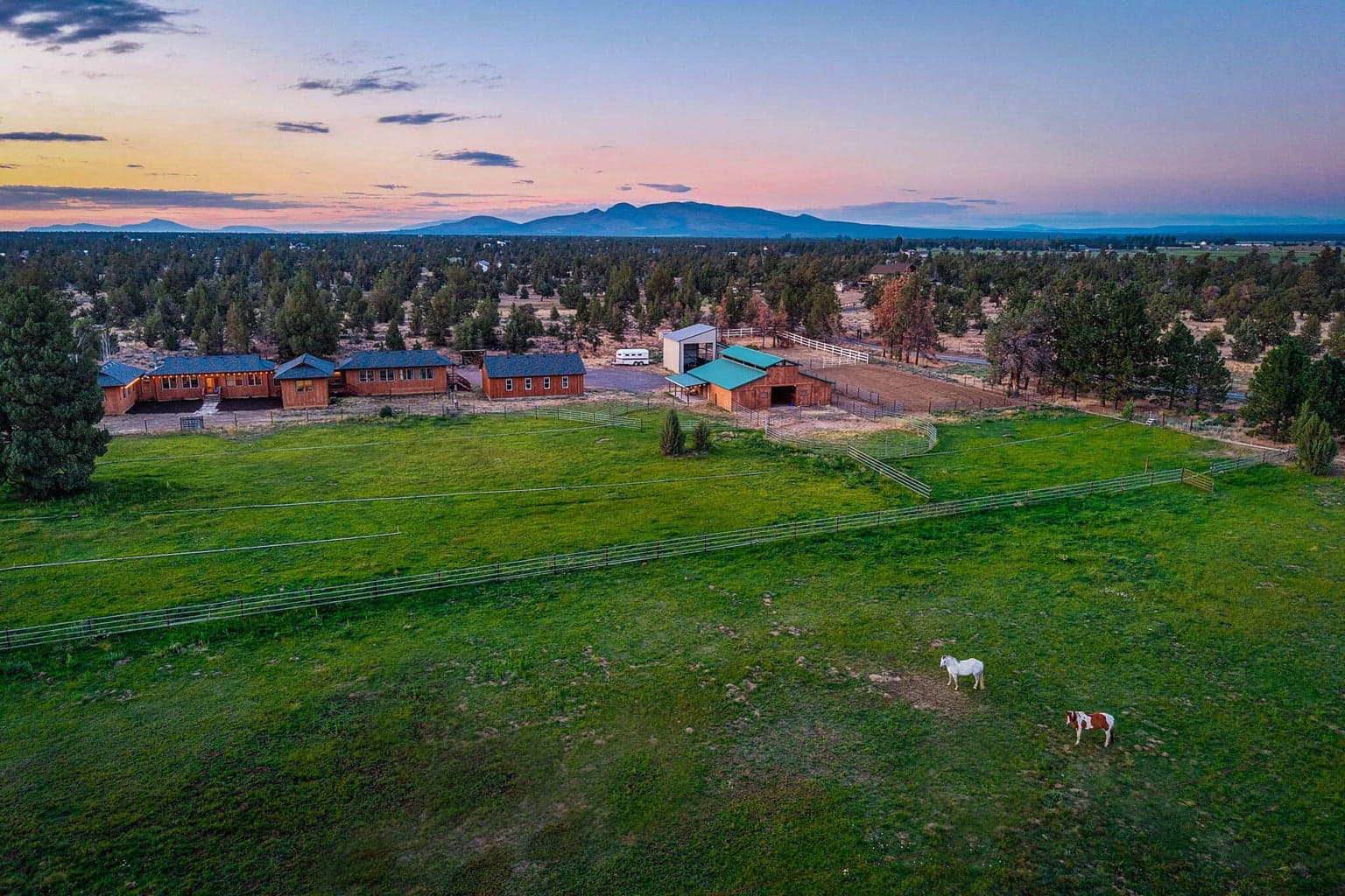 25271 Alfalfa Market