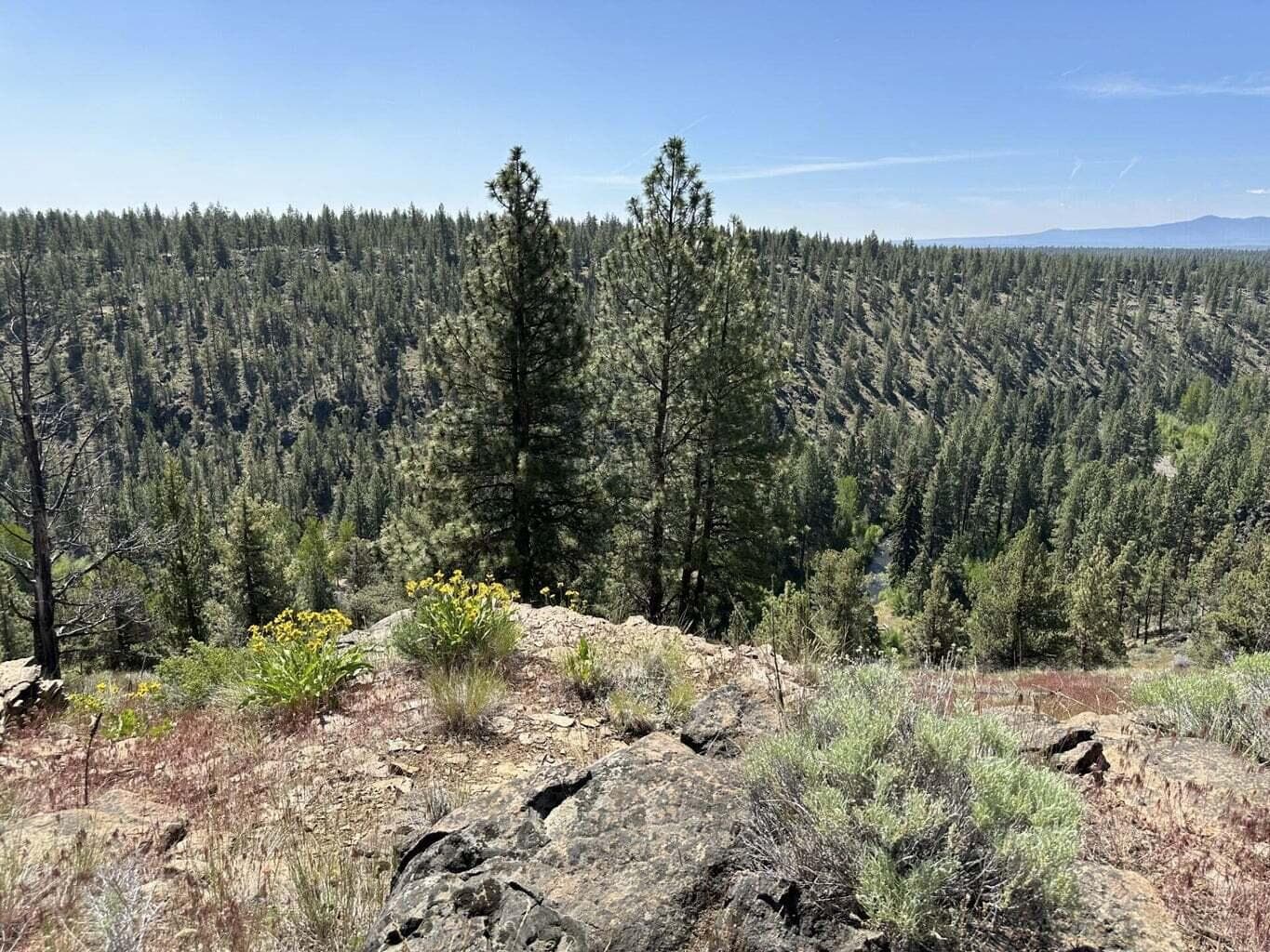 Photo of 17127 Mountain View 5 of 16
