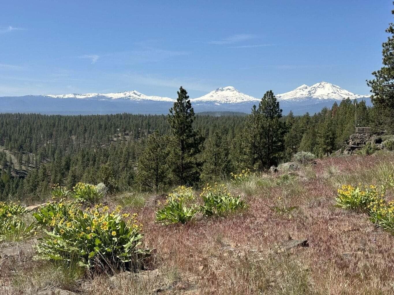 17127 Mountain View